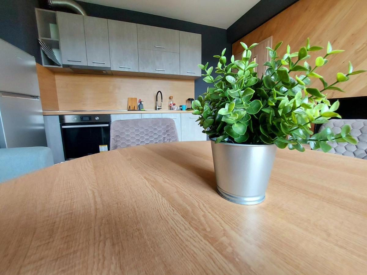 Grey Apartment Varna Luaran gambar